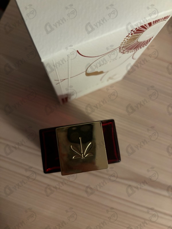 Парфюмерия Ella K Camelia K