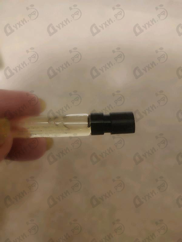 Купить Camelia K от Ella K