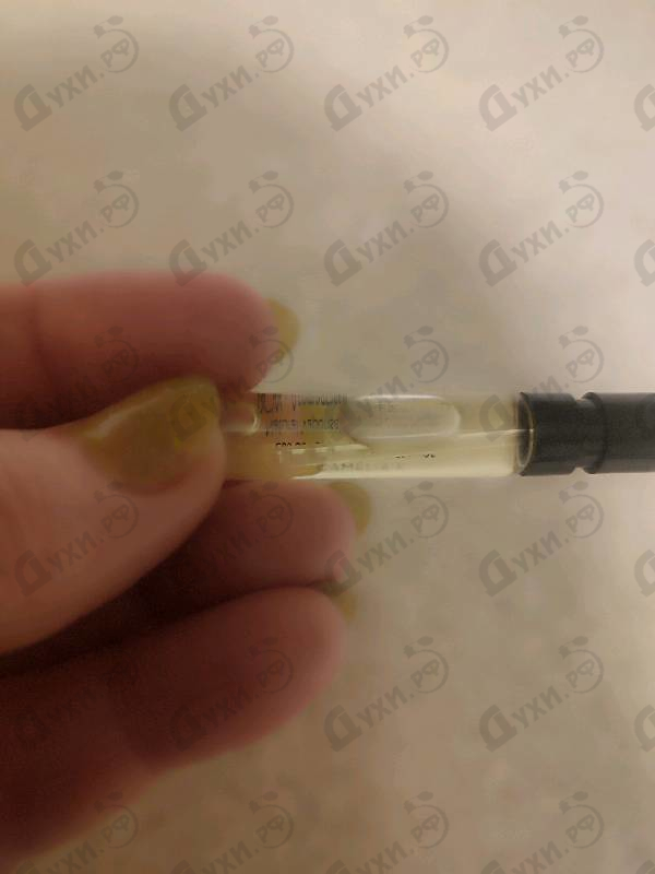 Купить Camelia K от Ella K