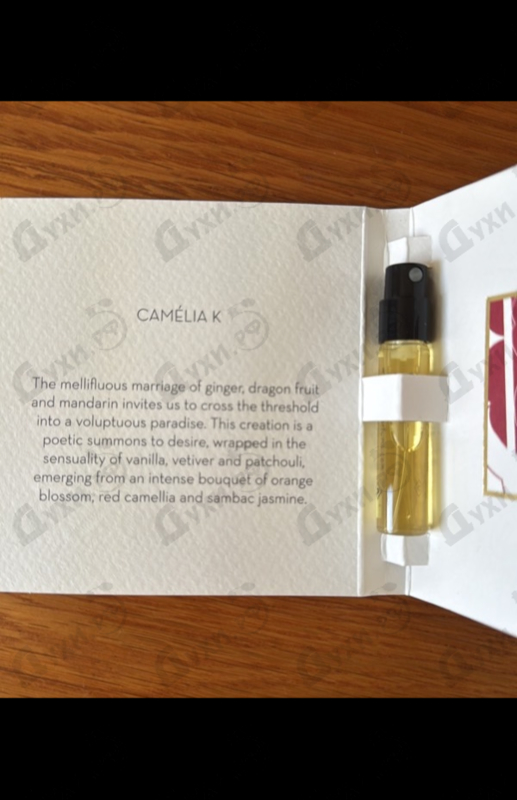 Купить Ella K Camelia K