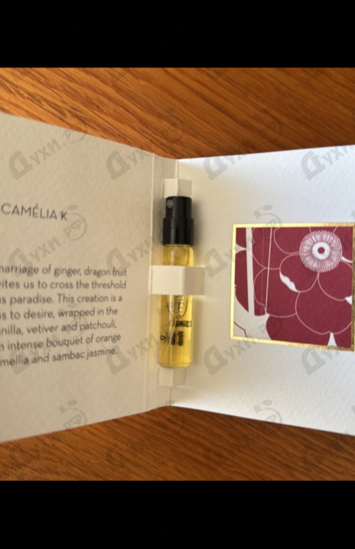 Отзывы Ella K Camelia K