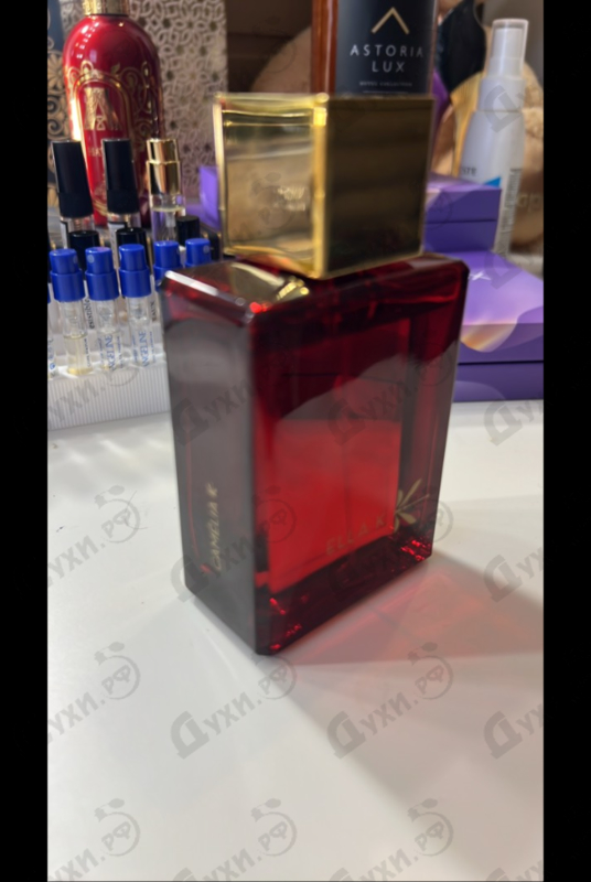 Купить Camelia K от Ella K