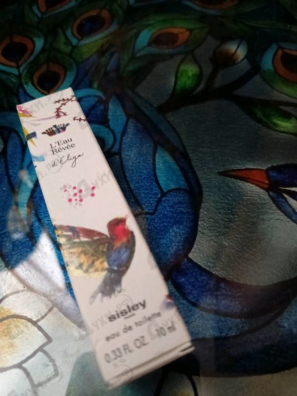 Купить L'Eau Revee D'Eliya от Sisley