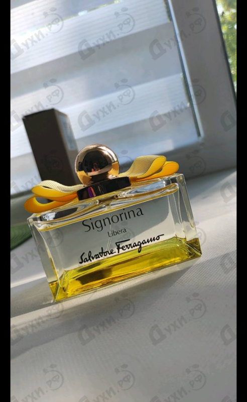 Отзывы Salvatore Ferragamo Signorina Libera