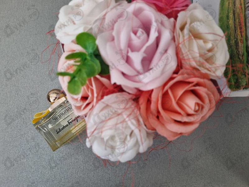 Отзывы Salvatore Ferragamo Signorina Libera