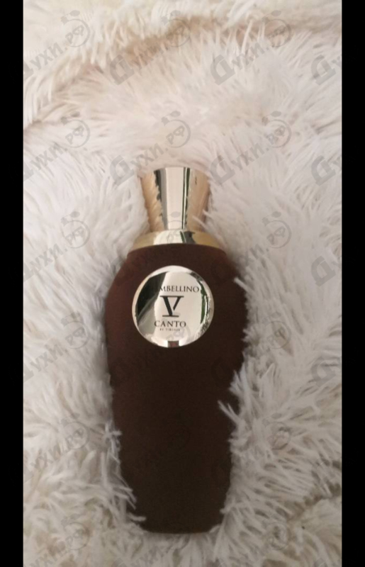 Духи Giambellino от V Canto