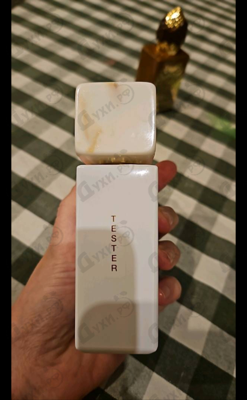 Парфюмерия Gossip Night от Gritti