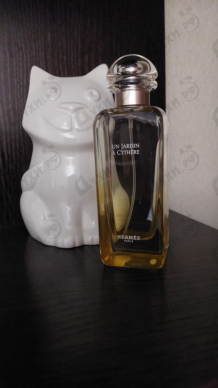 Купить Hermes Un Jardin A Cythere