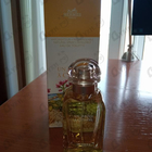 Отзыв Hermes Un Jardin A Cythere