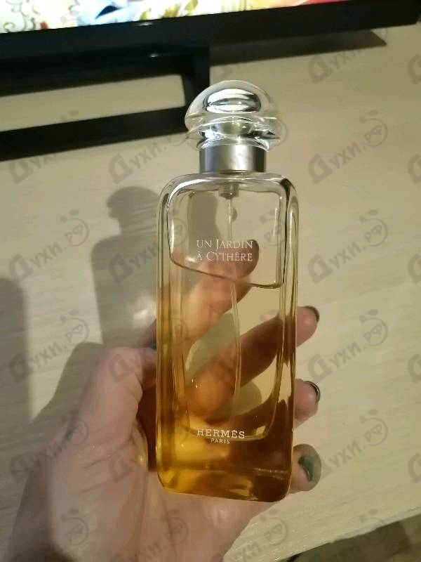 Купить Hermes Un Jardin A Cythere