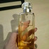 Купить Hermes Un Jardin A Cythere