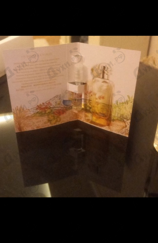 Купить Un Jardin A Cythere от Hermes