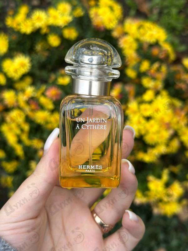 Купить Un Jardin A Cythere от Hermes