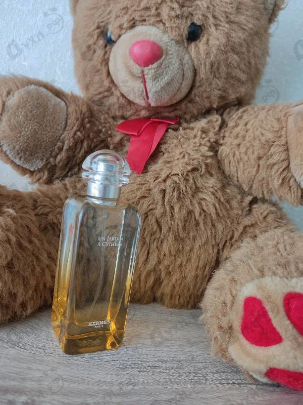 Купить Un Jardin A Cythere от Hermes