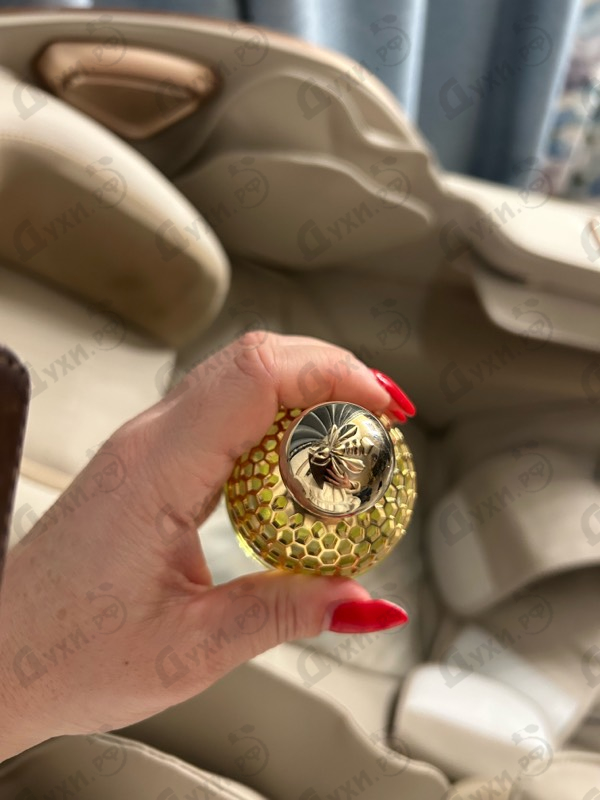 Купить Aqua Allegoria Forte Nerolia Vetiver от Guerlain