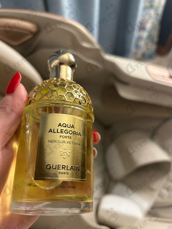Купить Aqua Allegoria Forte Nerolia Vetiver от Guerlain