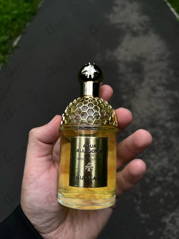 Купить Aqua Allegoria Forte Nerolia Vetiver от Guerlain