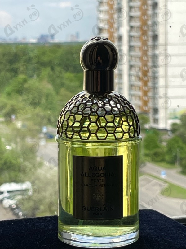 Купить Aqua Allegoria Forte Nerolia Vetiver от Guerlain