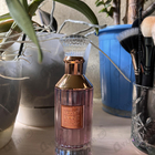 Парфюм Lattafa Perfumes Velvet Rose