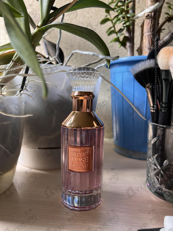 Духи Velvet Rose от Lattafa Perfumes