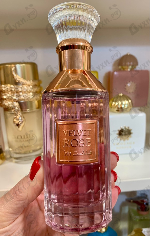 Купить Velvet Rose от Lattafa Perfumes
