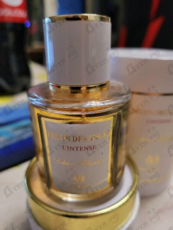 Купить Destin Des Anges от Maissa Parfums