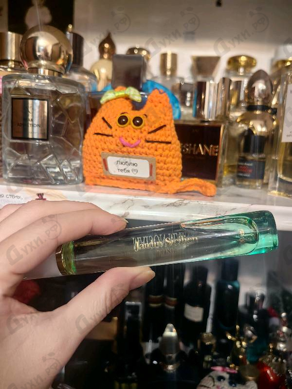 Парфюмерия Jardin Sicilien от Maissa Parfums