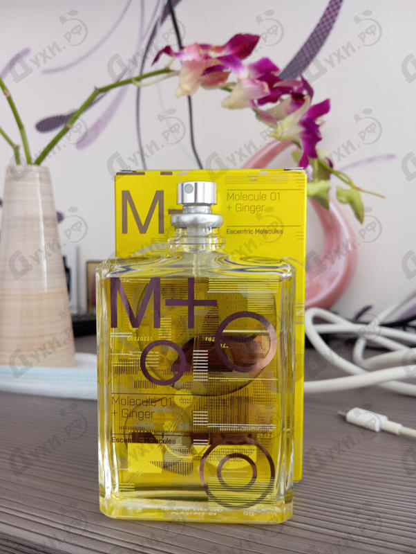 Купить Molecule 01 + Ginger от Escentric Molecules