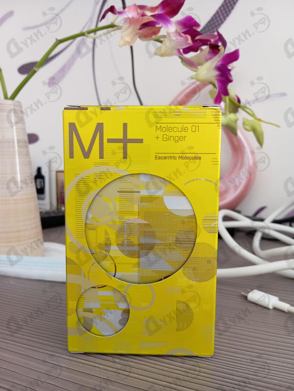 Парфюмерия Molecule 01 + Ginger от Escentric Molecules