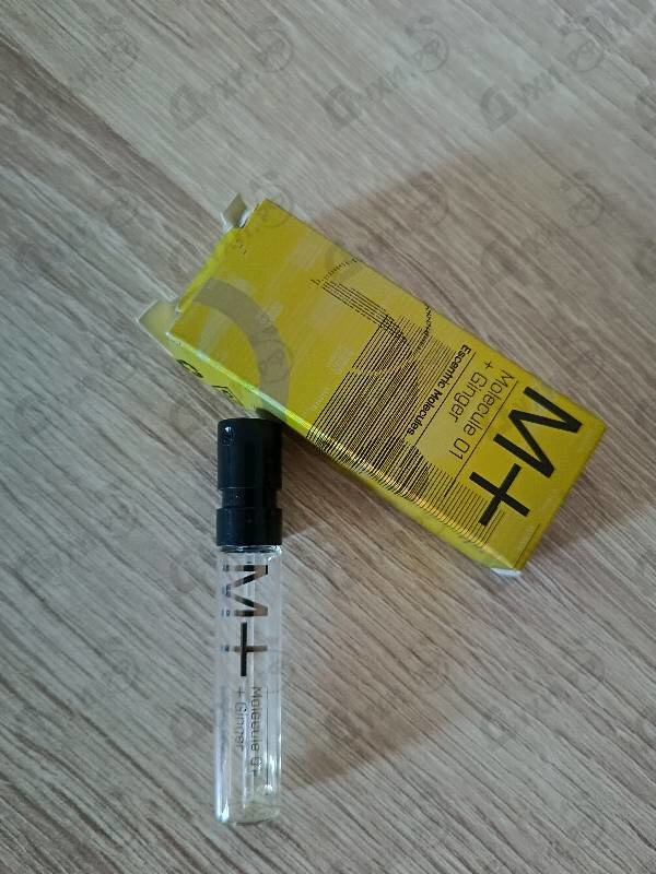 Купить Molecule 01 + Ginger от Escentric Molecules