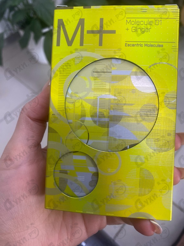 Парфюмерия Escentric Molecules Molecule 01 + Ginger Купить Molecule 01 + Ginger от Escentric Molecules