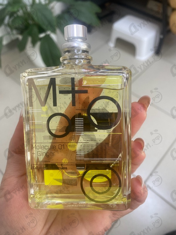 Парфюмерия Molecule 01 + Ginger от Escentric Molecules Купить Escentric Molecules Molecule 01 + Ginger