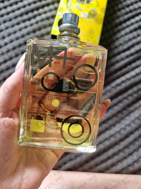 Купить Molecule 01 + Ginger от Escentric Molecules