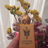 Купить Soleil De Jeddah Mango Kiss от Stephane Humbert Lucas 777