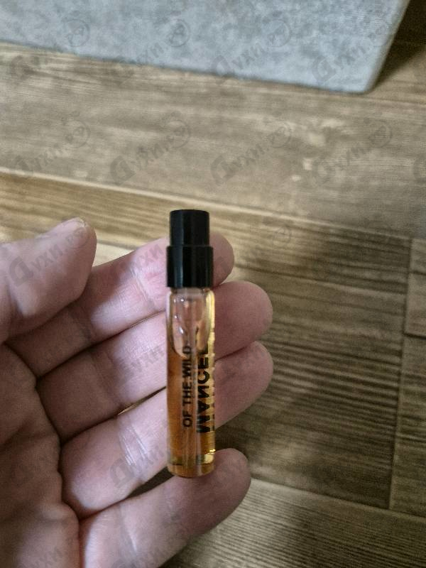 Духи Of The Wild от Mancera