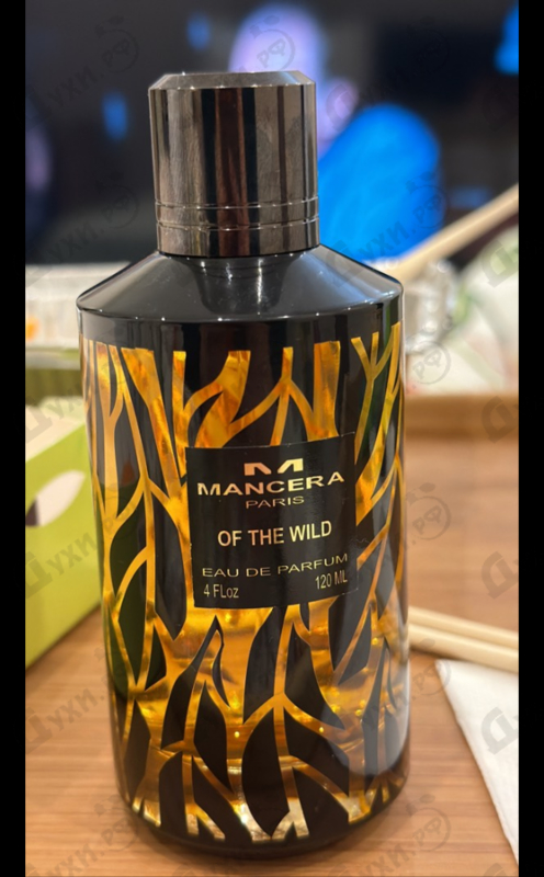 Отзыв Mancera Of The Wild