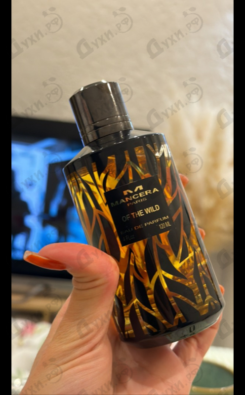 Купить Of The Wild от Mancera