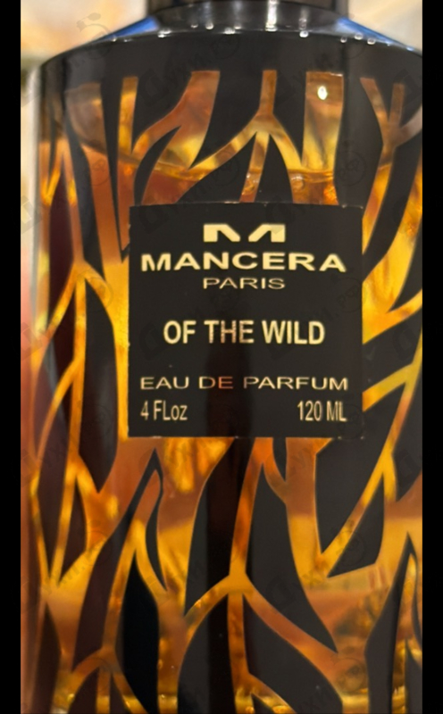 Духи Of The Wild от Mancera