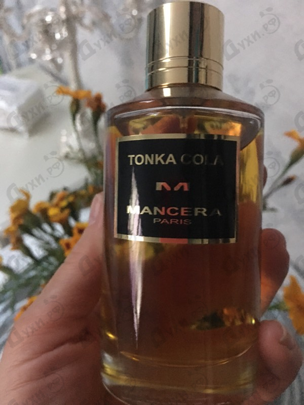 Духи Tonka Cola от Mancera