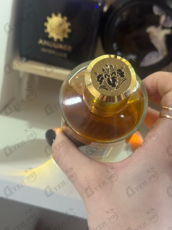 Купить Tonka Cola от Mancera