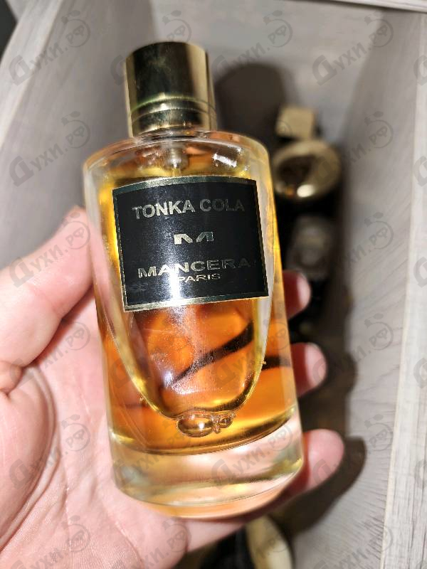 Духи Tonka Cola от Mancera