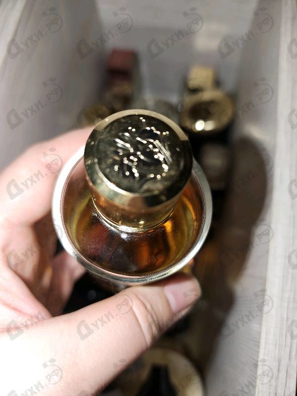 Купить Tonka Cola от Mancera