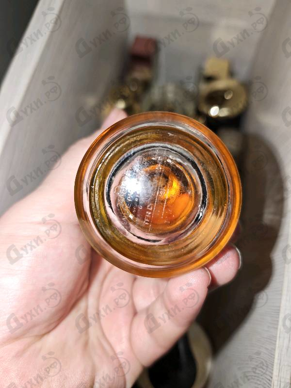 Купить Tonka Cola от Mancera