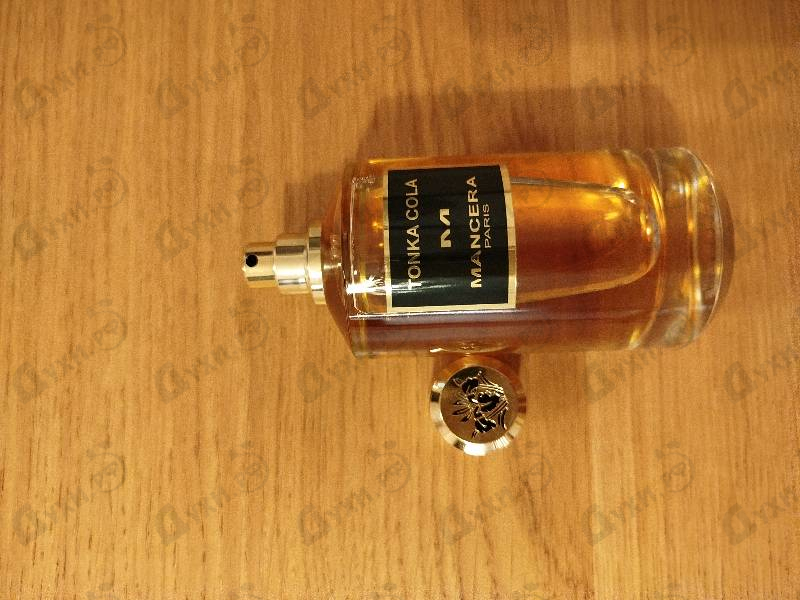 Духи Tonka Cola от Mancera