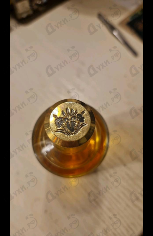 Духи Tonka Cola от Mancera