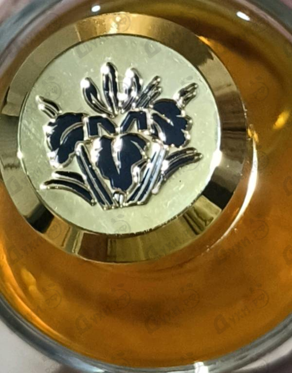 Парфюмерия Tonka Cola от Mancera