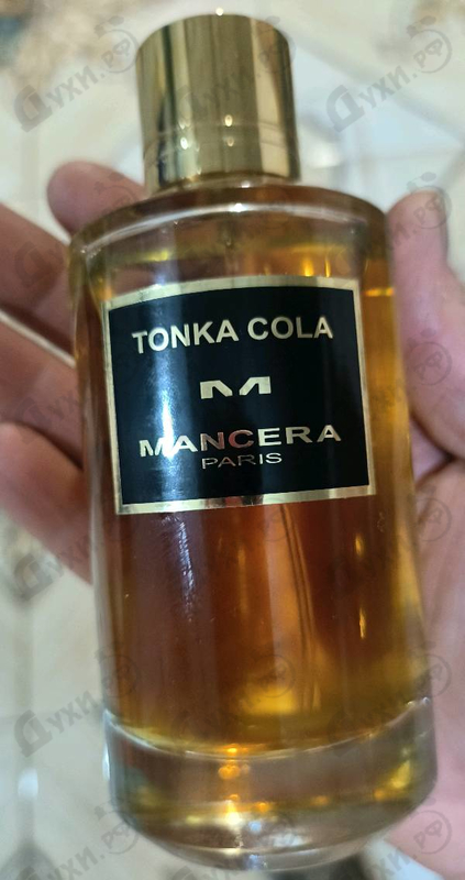 Отзывы Mancera Tonka Cola