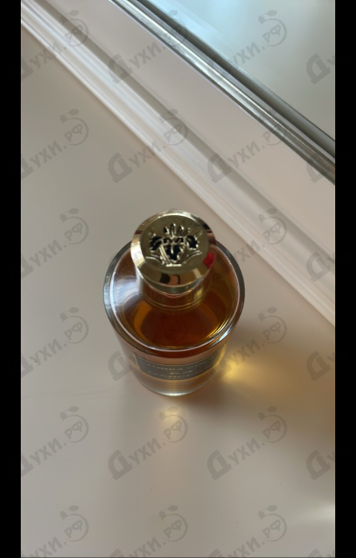 Духи Tonka Cola от Mancera