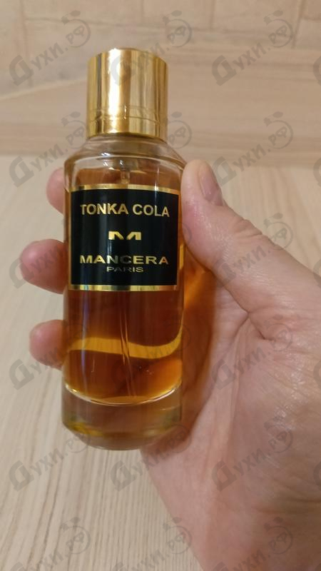 Духи Tonka Cola от Mancera