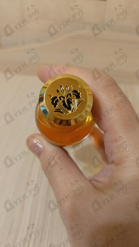 Купить Tonka Cola от Mancera